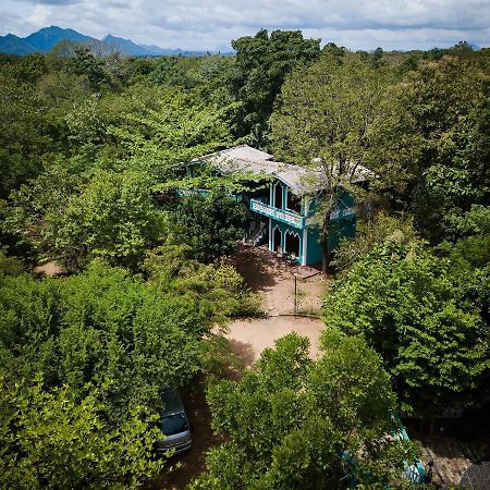 The Lion Rock Otel Sigiriya Dış mekan fotoğraf